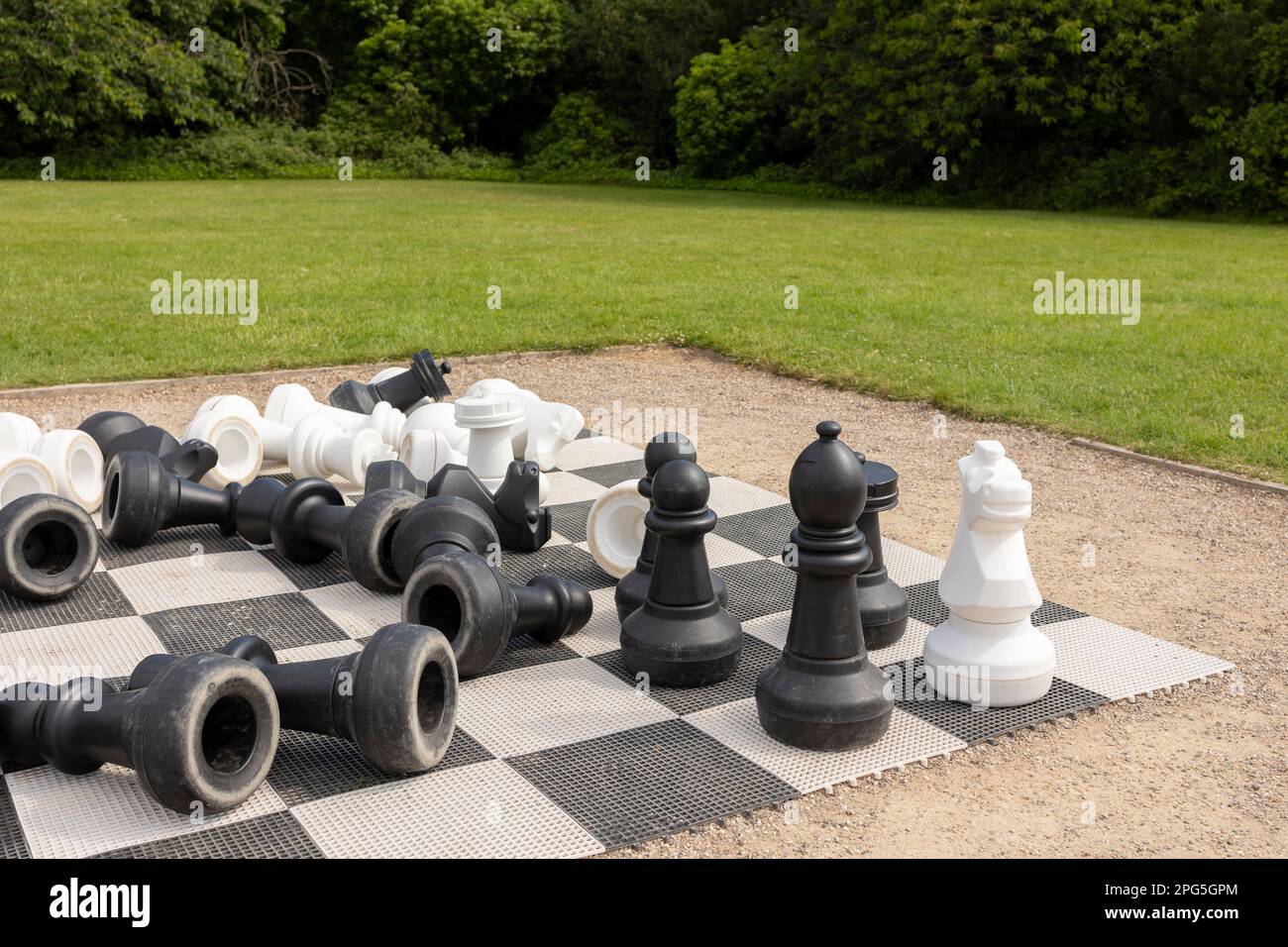 Scacchiera e pezzi di scacchi sull'erba nel giardino, giocando pezzi di scacchi in legno, business teamwork competizione giochi concetto, mano di leadership di bu Foto Stock