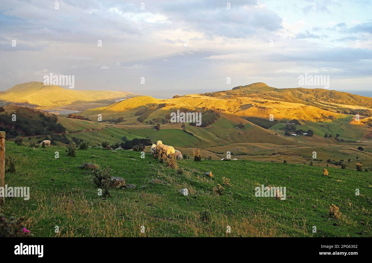 Tramonto su Harington Point - Nuova Zelanda Foto Stock