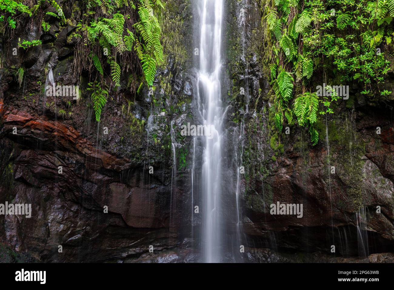 Fiume e cascata Cascata das 25 Fontes, esposizione lunga, Rabacal, Paul da Serra, Madeira, Portogallo Foto Stock
