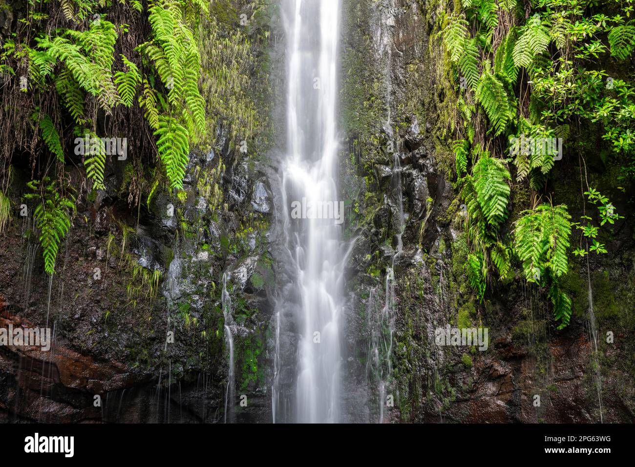 Fiume e cascata Cascata das 25 Fontes, esposizione lunga, Rabacal, Paul da Serra, Madeira, Portogallo Foto Stock