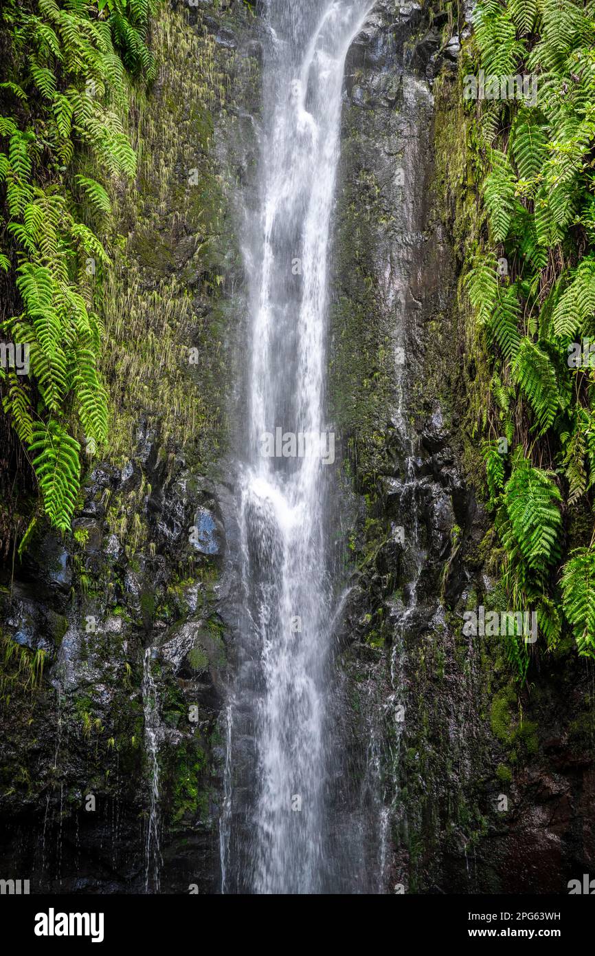 Fiume e cascata Cascata das 25 Fontes, esposizione lunga, Rabacal, Paul da Serra, Madeira, Portogallo Foto Stock