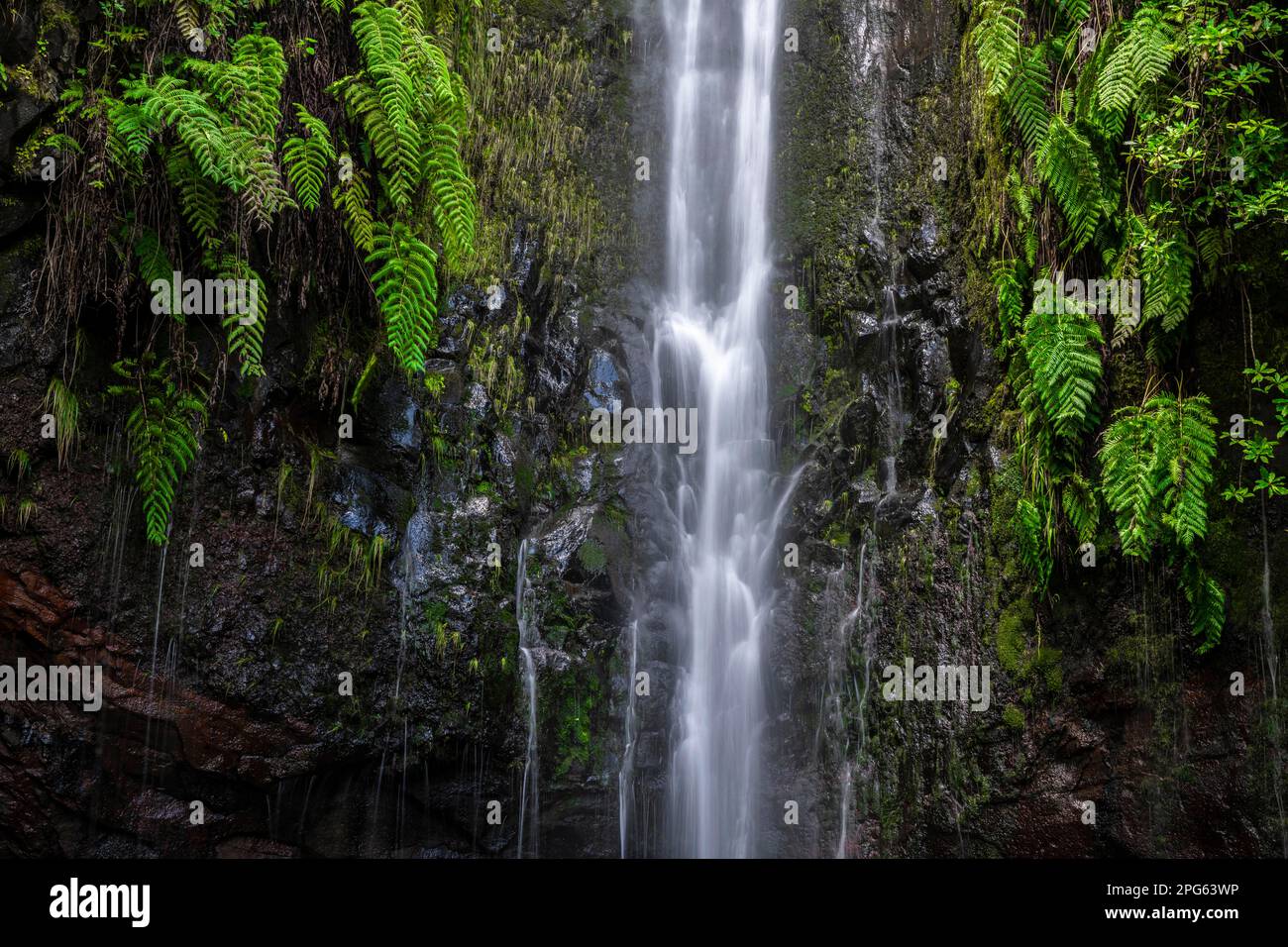 Fiume e cascata Cascata das 25 Fontes, esposizione lunga, Rabacal, Paul da Serra, Madeira, Portogallo Foto Stock
