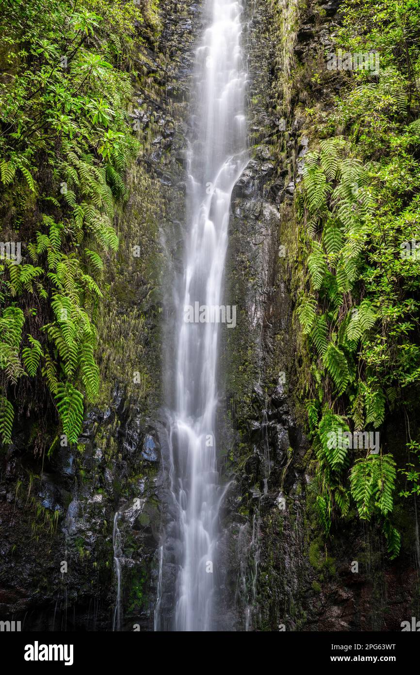 Fiume e cascata Cascata das 25 Fontes, esposizione lunga, Rabacal, Paul da Serra, Madeira, Portogallo Foto Stock