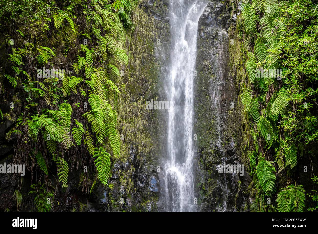 Fiume e cascata Cascata das 25 Fontes, esposizione lunga, Rabacal, Paul da Serra, Madeira, Portogallo Foto Stock