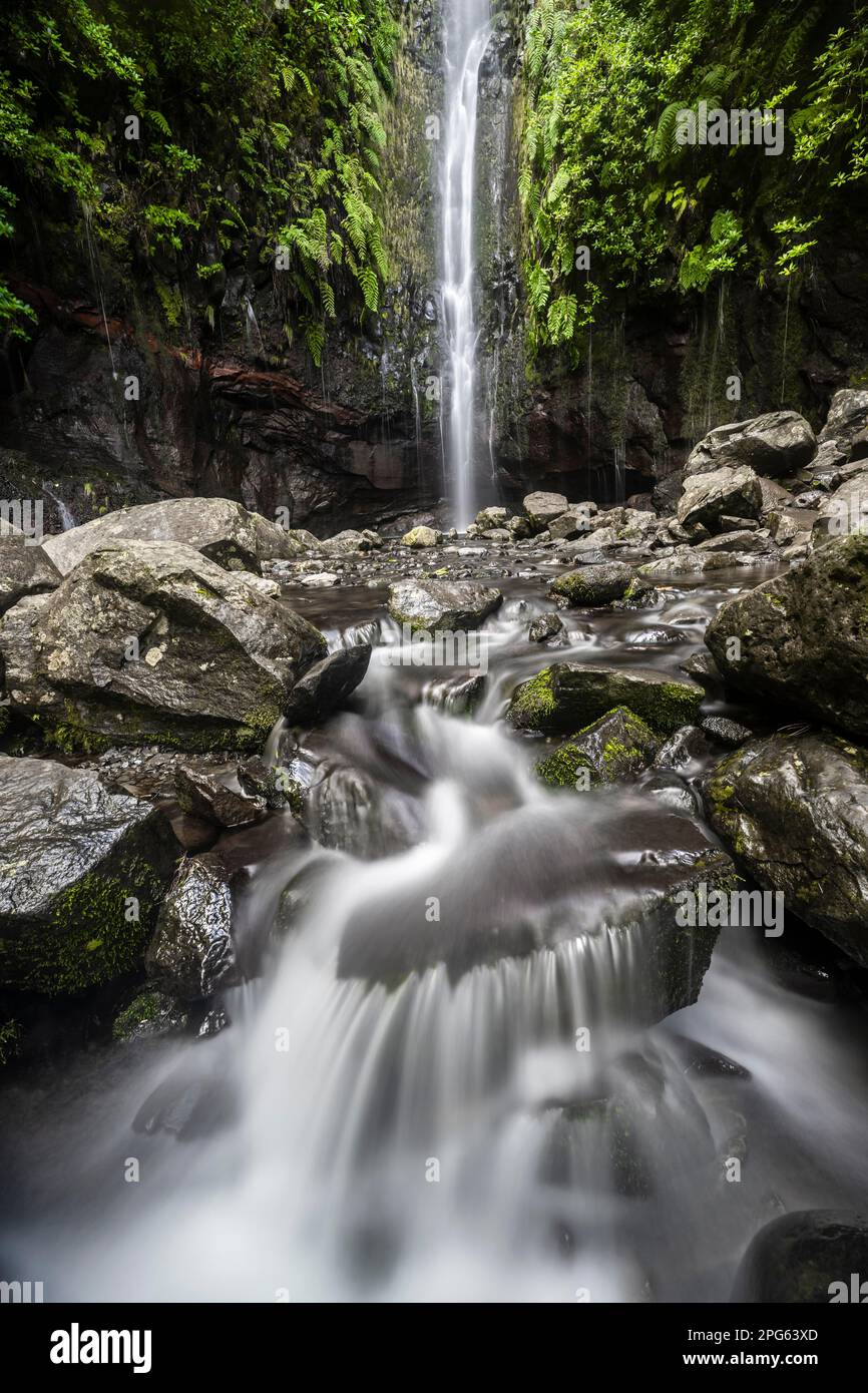 Fiume e cascata Cascata das 25 Fontes, esposizione lunga, Rabacal, Paul da Serra, Madeira, Portogallo Foto Stock
