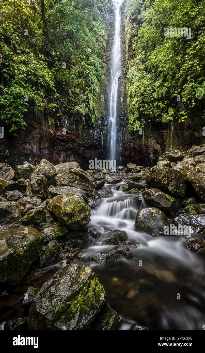 Fiume e cascata Cascata das 25 Fontes, esposizione lunga, Rabacal, Paul da Serra, Madeira, Portogallo Foto Stock