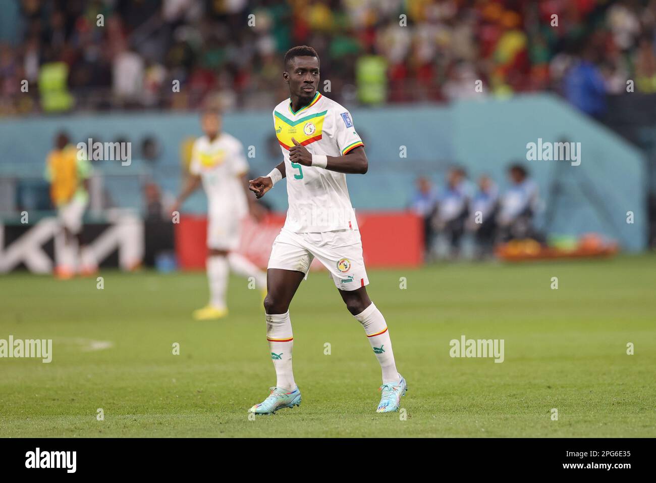 Idrissa Gueye del Senegal visto durante la Coppa del mondo FIFA Qatar 2022 partita tra Ecuador e Senegal al Khalifa International Stadium. Punteggio finale; Ecuador 1:2 Senegal. Foto Stock