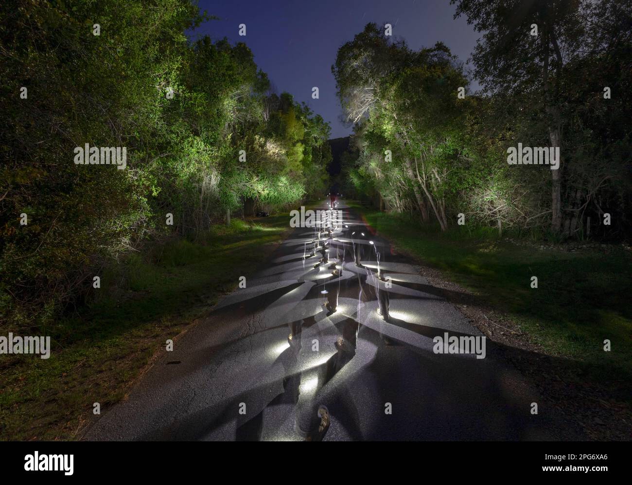 Una passeggiata lungo Forest Drive con una torcia e una luna piena. Foto Stock