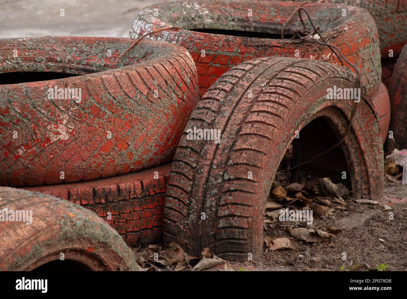 vecchi pneumatici in pista nel pomeriggio nel parco Foto Stock