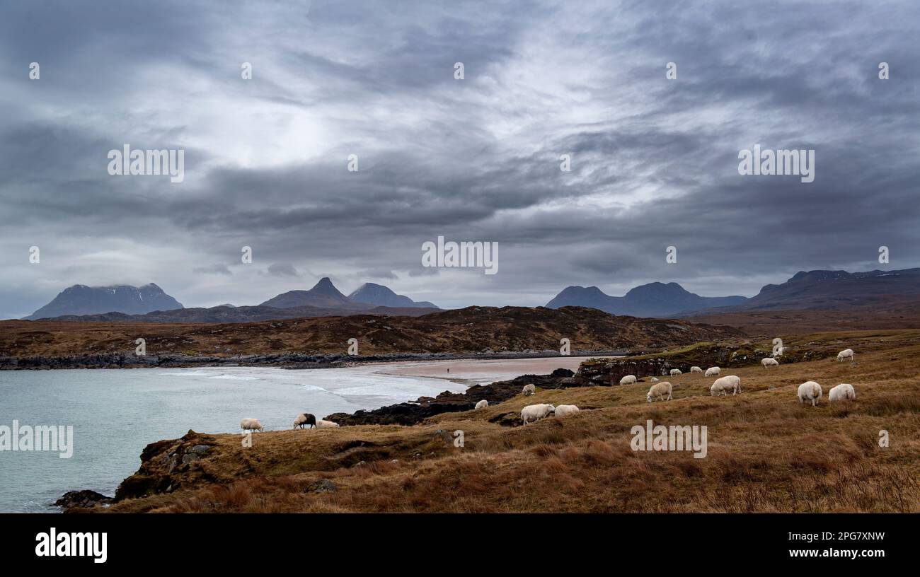 Achnahaird Beach Wester Ross, considerata una delle migliori spiagge della Scozia, offre viste di Stac Polly e di altre montagne vicine dalla spiaggia. Foto Stock