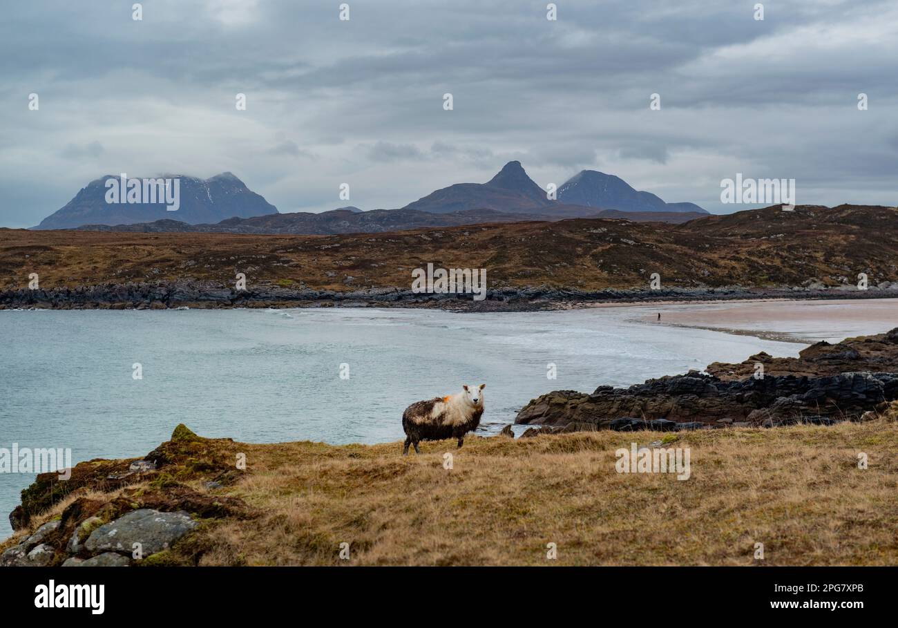 Achnahaird Beach Wester Ross, considerata una delle migliori spiagge della Scozia, offre viste di Stac Polly e di altre montagne vicine dalla spiaggia. Foto Stock