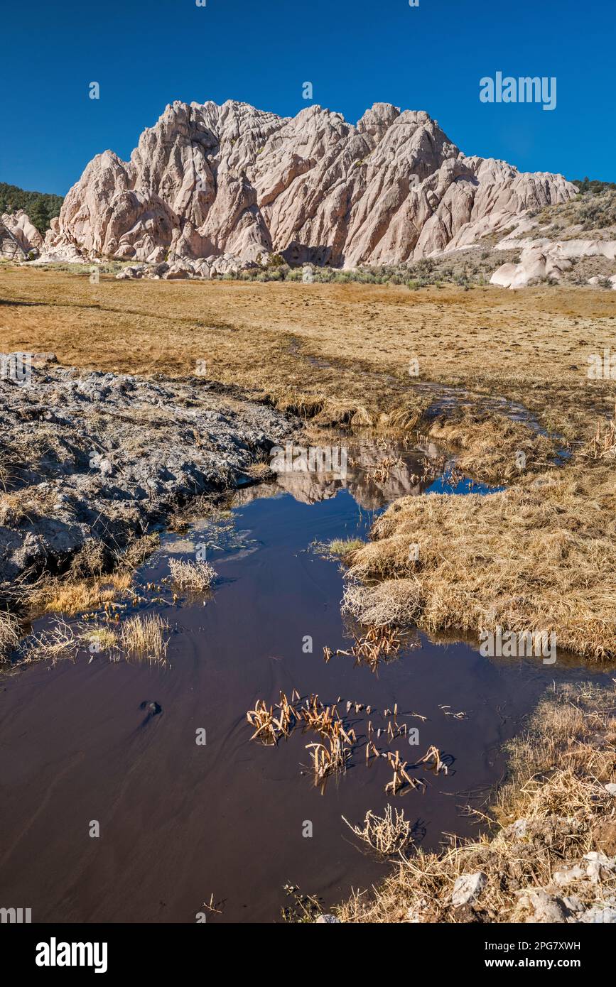 Formazione di rocce di tufo vulcaniche "George Washington Rock", Meadow Valley Wash, area dello Spring Valley state Park, vicino a Ursine, Nevada, USA Foto Stock
