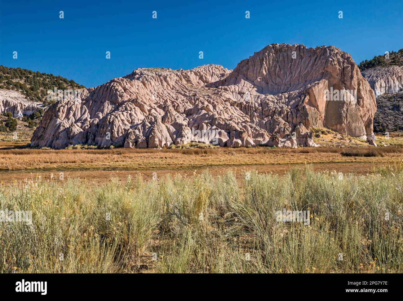 Formazione di rocce di tufo vulcaniche "George Washington Rock", Meadow Valley Wash, area dello Spring Valley state Park, vicino a Ursine, Nevada, USA Foto Stock