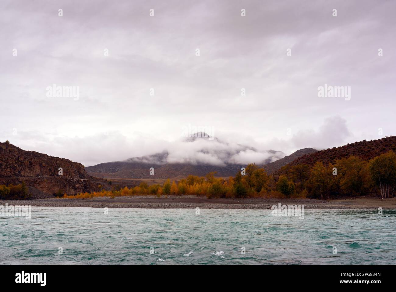 Nebbia mattutina tra le montagne vicino al fiume veloce Katun con alberi e pietre sulla riva dell'Altai in Siberia. Foto Stock