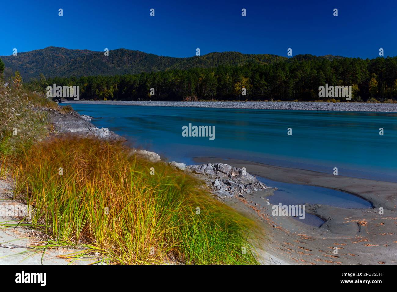 Il movimento dell'erba nel vento sulle rive del fiume veloce Katun, preso da una lunga esposizione ad Altai durante il giorno. Foto Stock