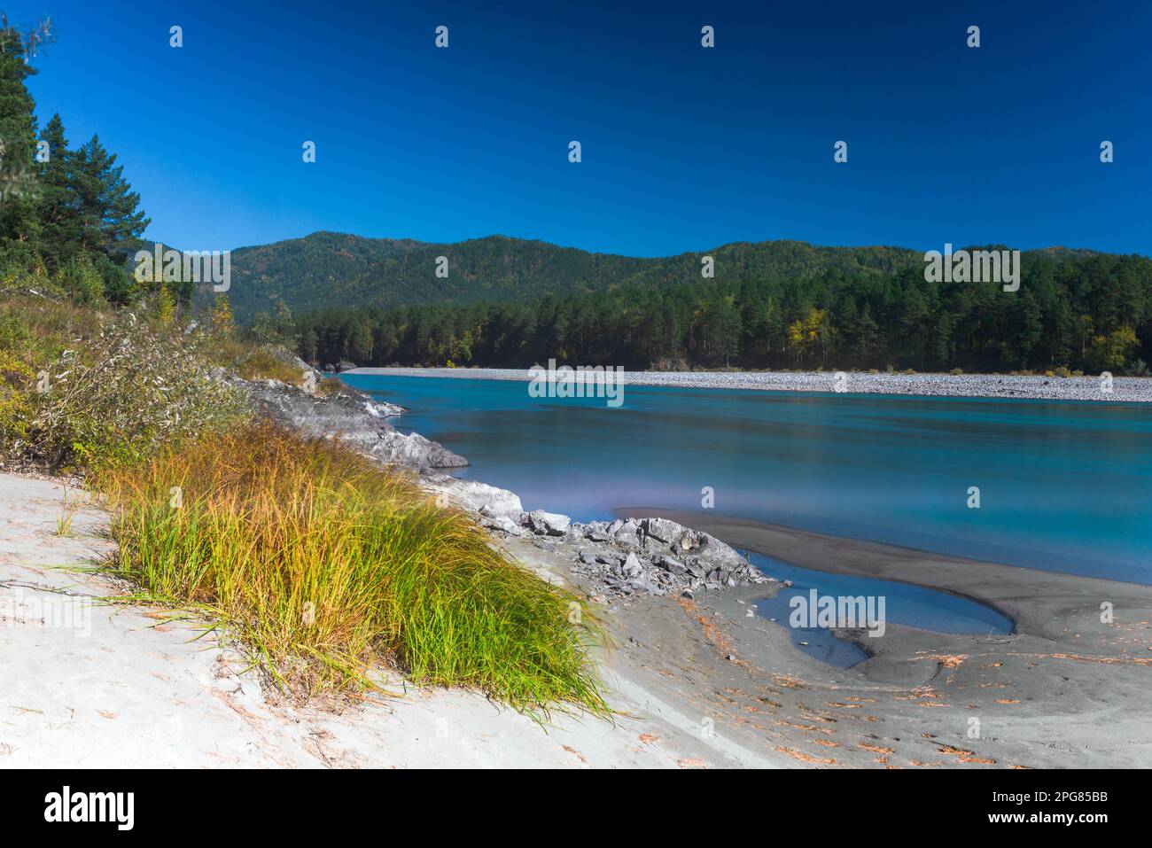 Il movimento dell'erba sulla riva nel vento sulle rive del fiume veloce Katun, preso dal metodo di lunga esposizione ad Altai nel pomeriggio in Foto Stock