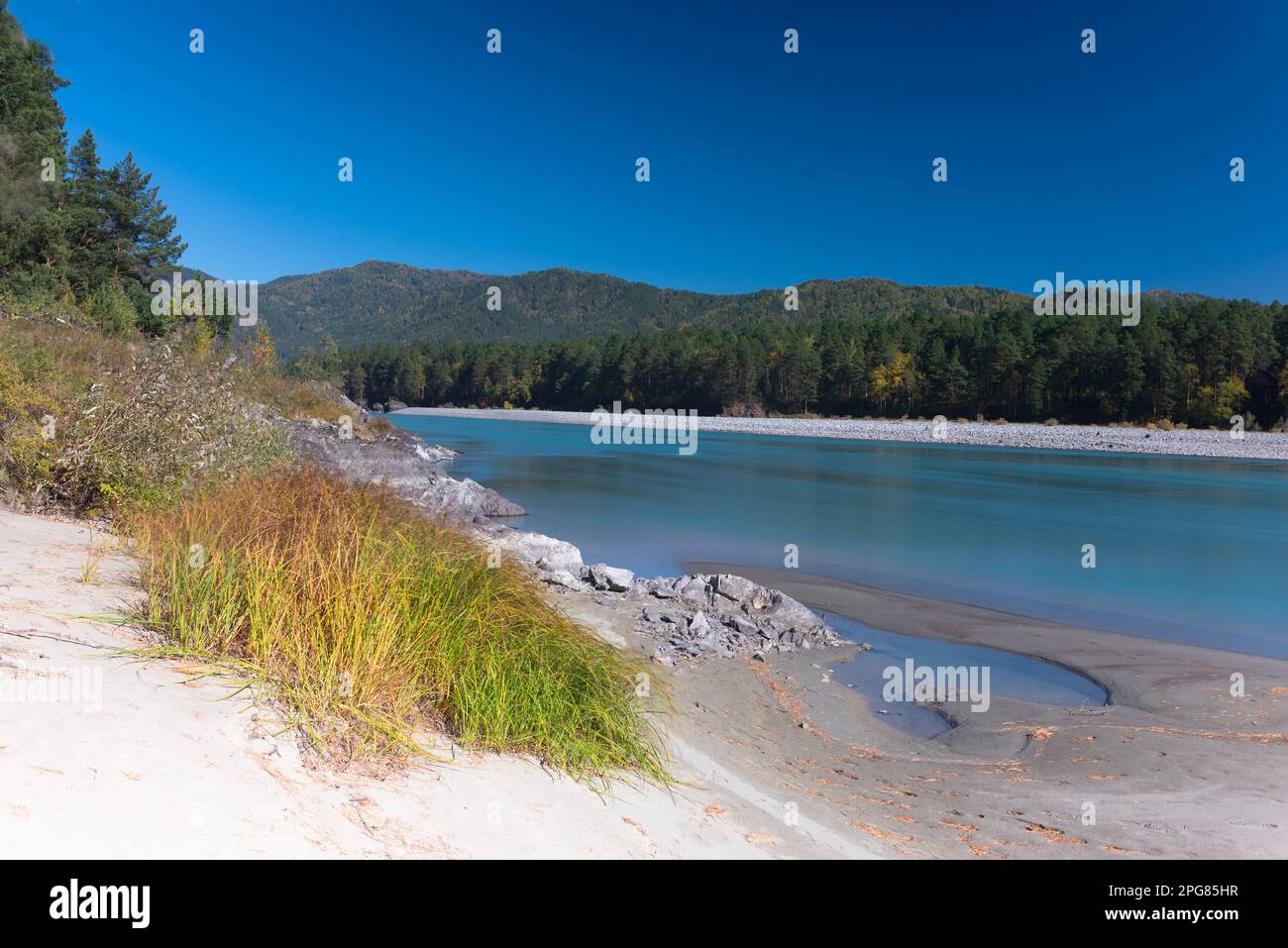 Il movimento dell'erba sulla riva nel vento sulle rive del fiume veloce Katun, preso dal metodo di lunga esposizione in Altai in autunno. Foto Stock