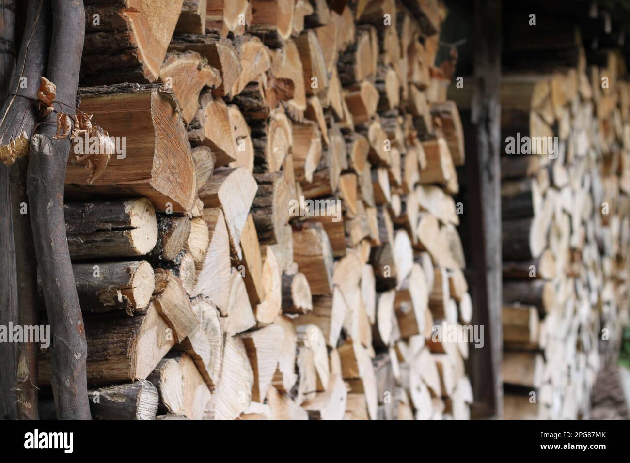 Un mago di una pila di legno riempito con tronchi di varie dimensioni Foto Stock