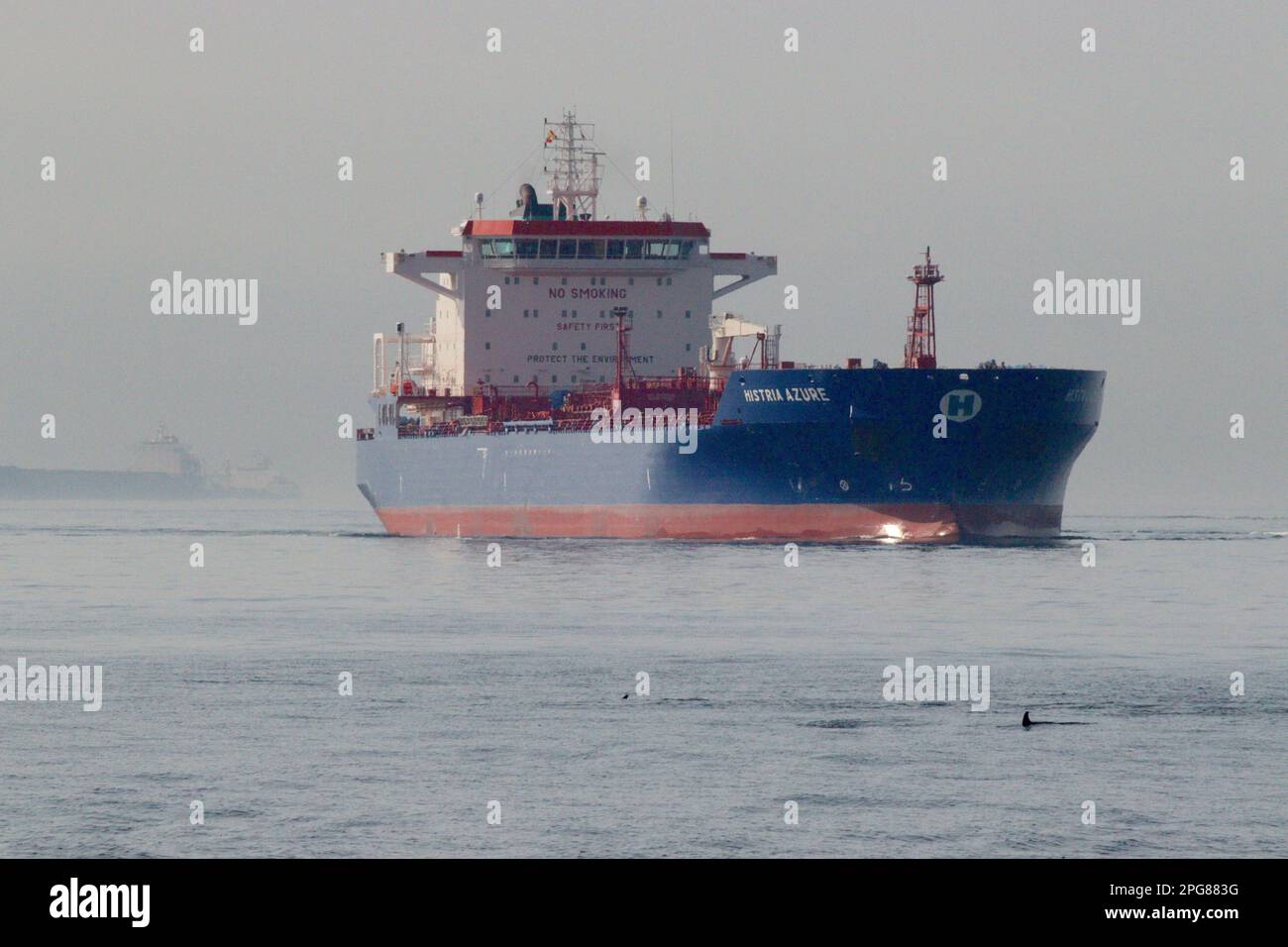 “Histria Azure” una petroliera da 40k tonnellate per il settore petrolifero/chimico emerge dalla nebbia mattutina nel porto di Giblatar mentre una scuola di delfini scivola oltre. Foto Stock