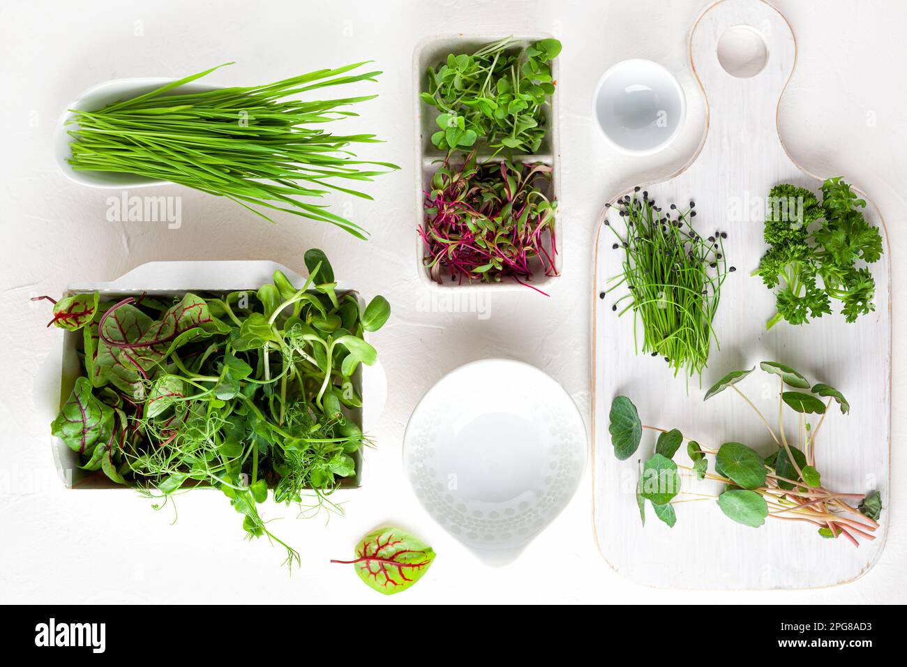 Diversi tipi di germogli microgreeni organici. Vegetariano, pulito e sano concetto di mangiare. Germinazione di seme nel paese. Foto Stock