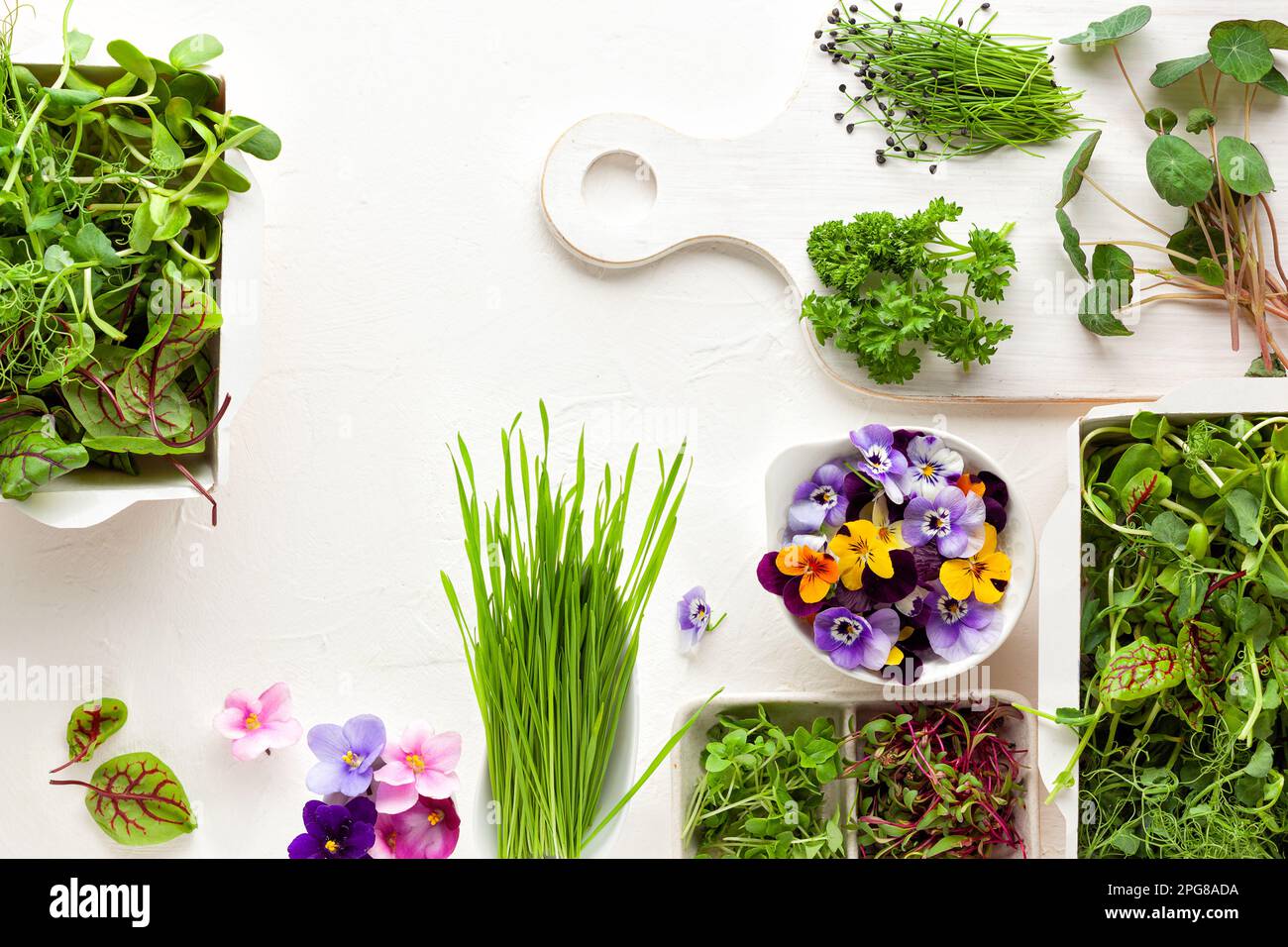 Diversi tipi di microgreens organici germogli e fiori commestibili. Vegetariano, pulito e sano concetto di mangiare. Germinazione di seme nel paese. Foto Stock