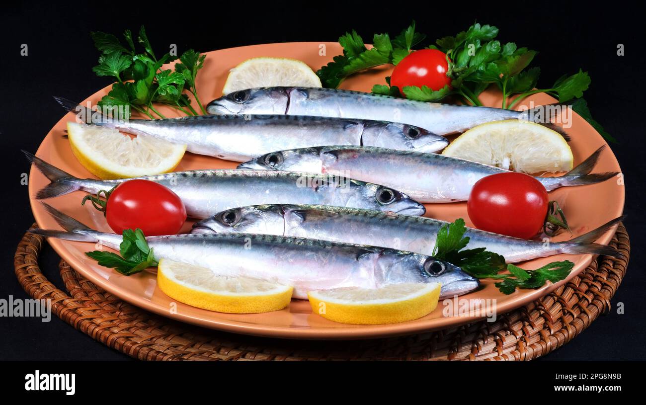 Lo sgombro è un pesce molto buono e sano ricco di omega-3 che è anche poco costoso. Questi sono rappresentati dal Mare Adriatico, Italia. Foto Stock