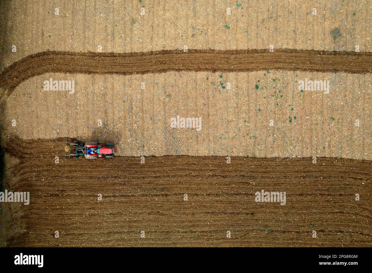 Trattore che arava un field.Mallorca.Spain Foto Stock
