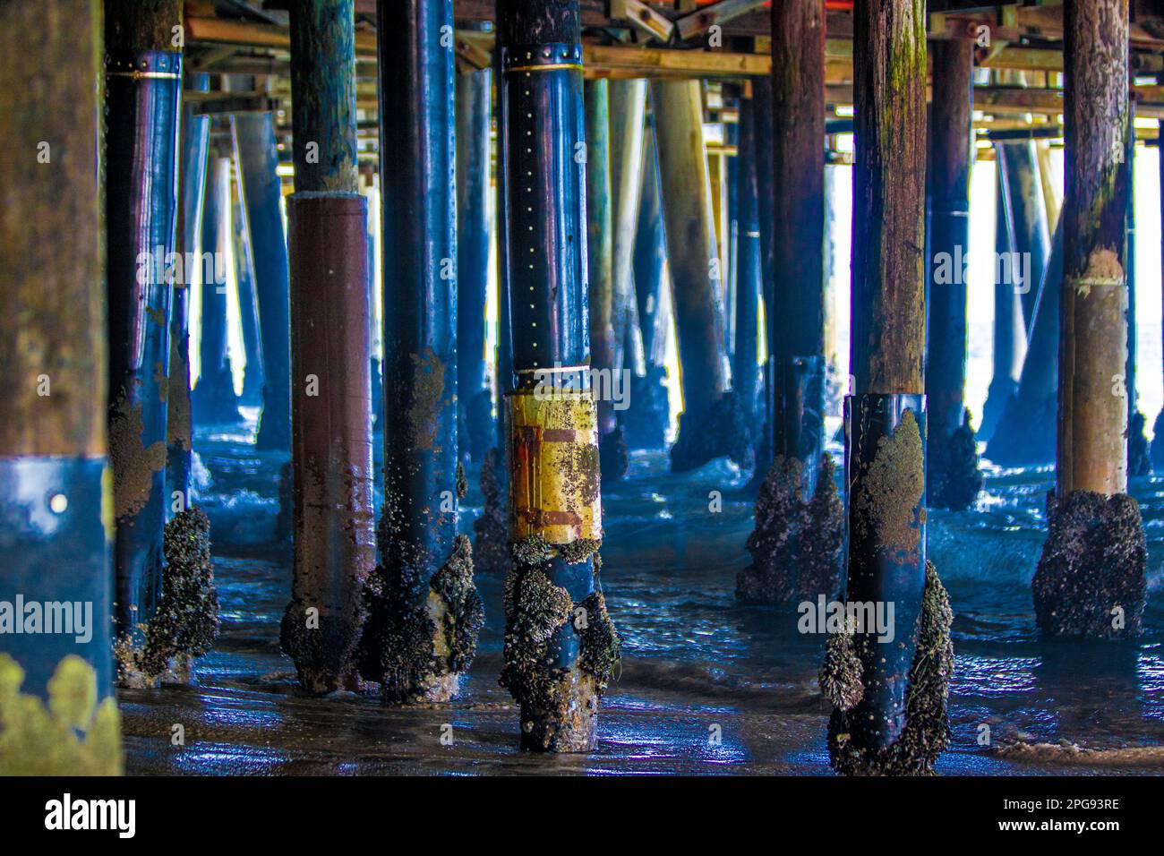 Sotto il molo di Santa Monica Foto Stock
