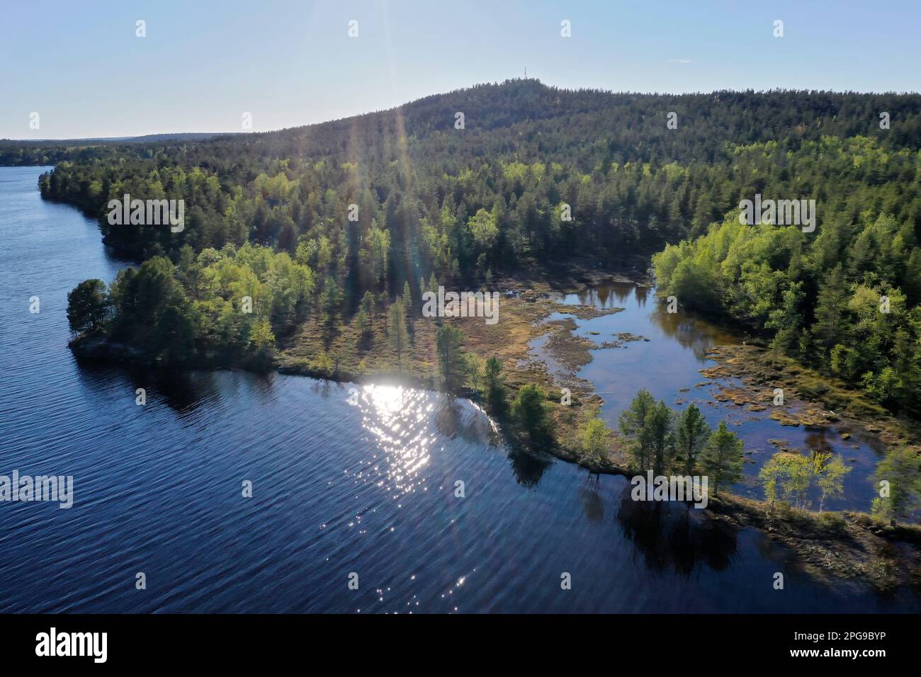 Fluss in Finnland, Ounasjärvi bei Enontekiö, Lappland, mit Wald Foto Stock