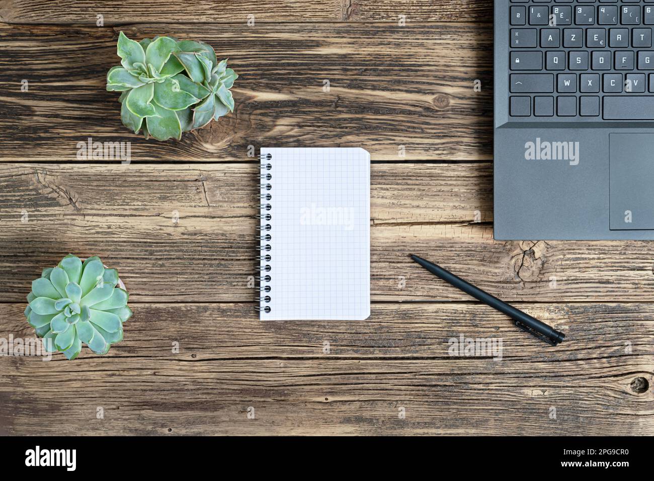 Un laptop, un taccuino aperto, una penna nera e due succulenti piante domestiche su un tavolo di legno, il concetto di lavoro da casa, lavoro a distanza, freelance e o Foto Stock