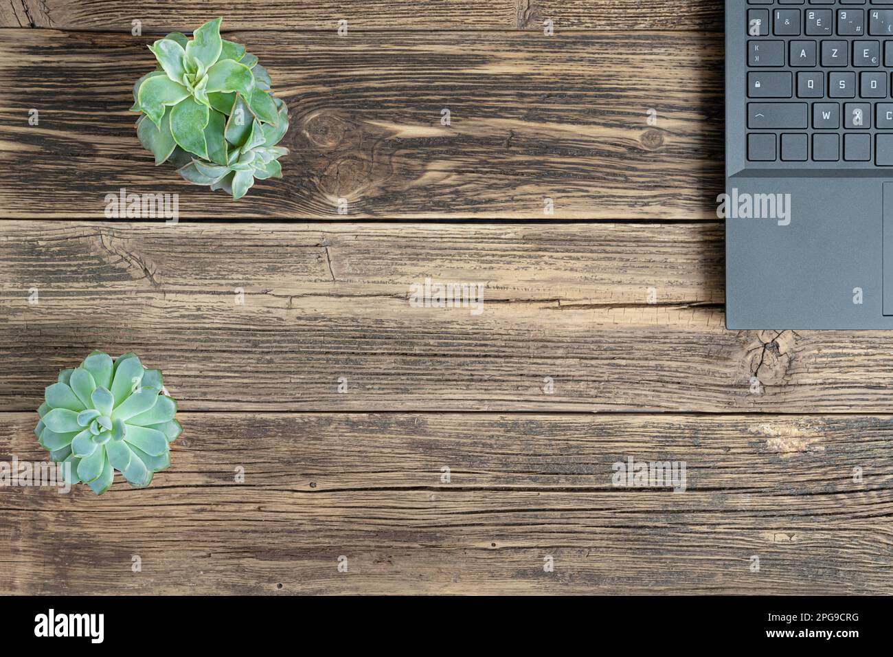Un laptop e due piante succulente della casa su un tavolo di legno, il concetto di lavoro dalla sede, lavoro a distanza, formazione freelance e in linea, vista dall'alto con co Foto Stock