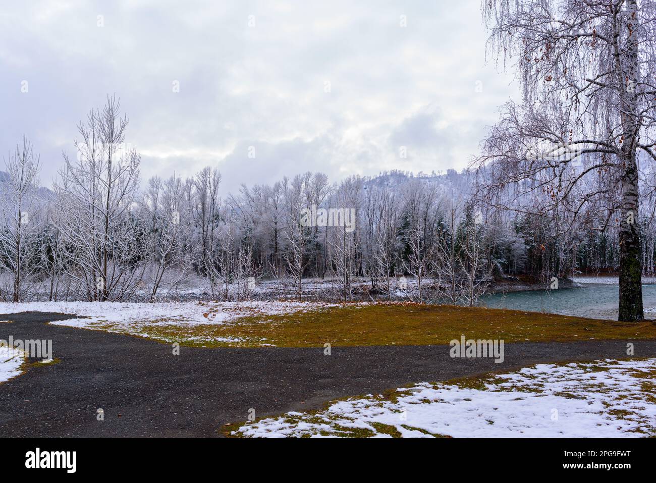 La neve bianca giacque sulla pittoresca riva e l'erba vicino agli alberi vicino al fiume Katun nelle montagne Altai in Siberia in autunno. Foto Stock