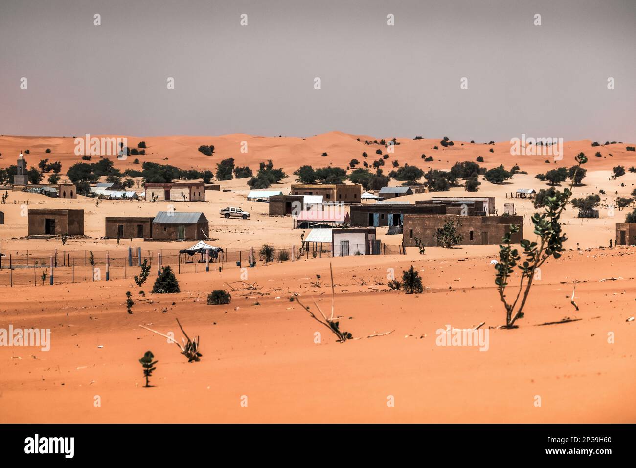 Paesaggio desertico durante il viaggio tra Boutilimit e Nouakshott in Mauritania. Brahim Ramdhane, ex schiavo e fondatore della sua ONG Sahel Fondation, ha combattuto contro la schiavitù, contro l'oppressione della sua tribù Haratin e per opportunità educative eque da quando si è liberato come giovane. Foto Stock