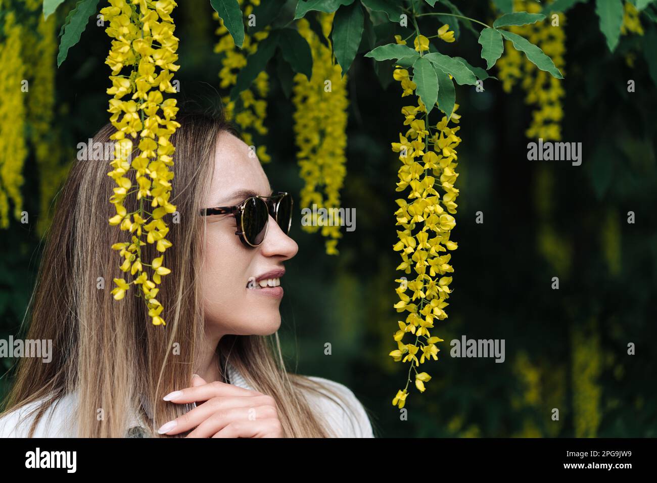 Una donna cammina tra i fiori gialli fiorenti di Laburnum anagyroides Foto Stock