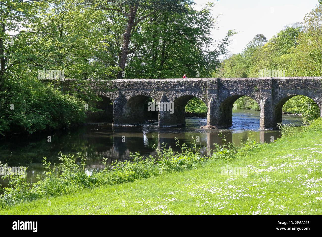 Persona che cammina attraverso il ponte Deerpark, un antico ponte di pietra sul fiume di sei miglia ad Antrim presso i giardini del castello di Antrim in un giorno di primavera soleggiato Foto Stock