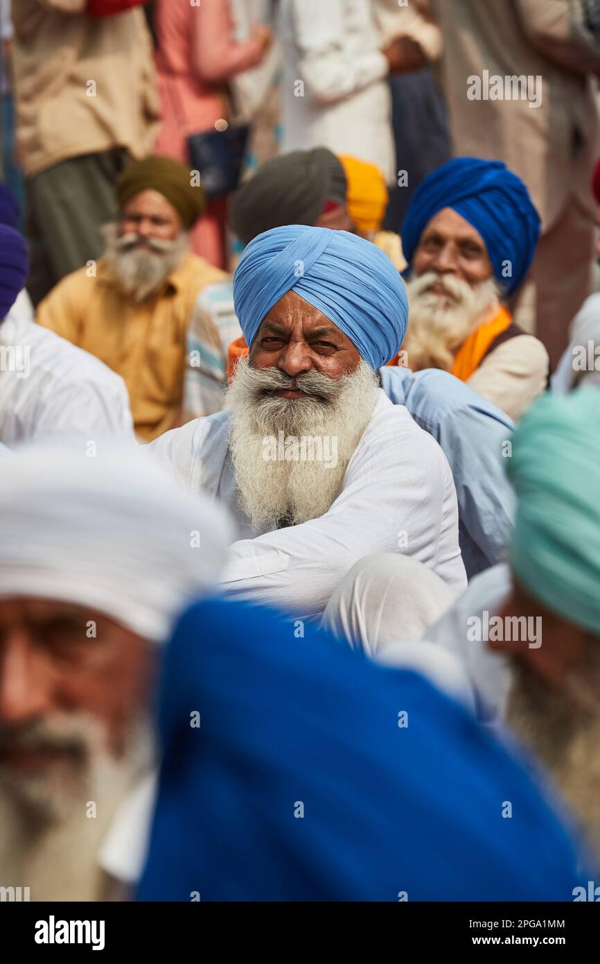 Amritsar, Punjab, India - Vecchio Sikh con lunga barba bianca seduta tra gli altri uomini al tempio d'oro durante diwali Foto Stock