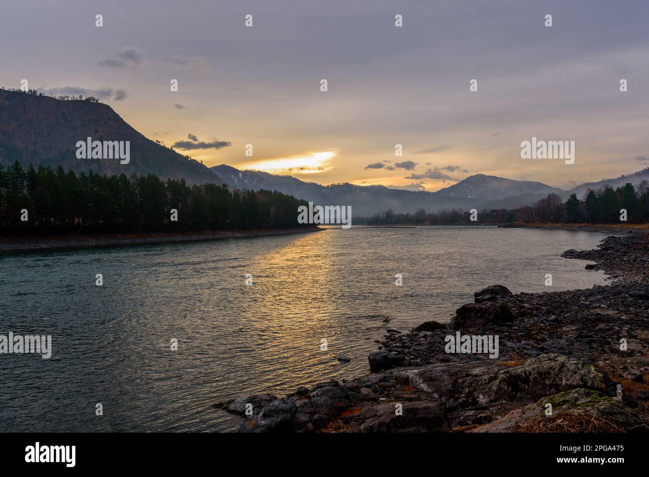 Riva del fiume Katun al crepuscolo mattutino con il riflesso del sole nascente nell'acqua delle montagne con la nebbia Altai in Russia in autunno. Foto Stock