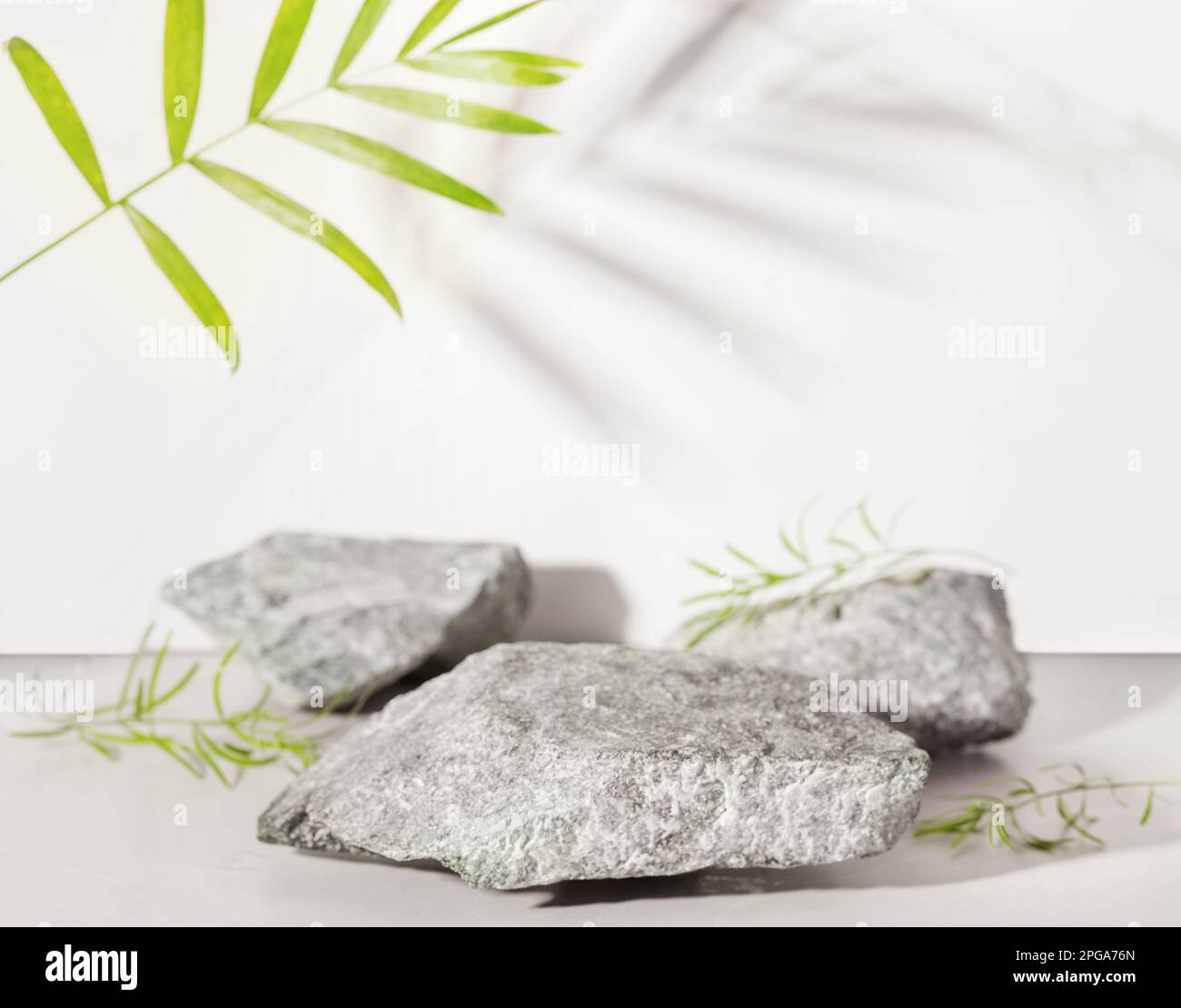 Podio in pietra naturale e cemento con foglie tropicali alla luce del sole. Foto Stock