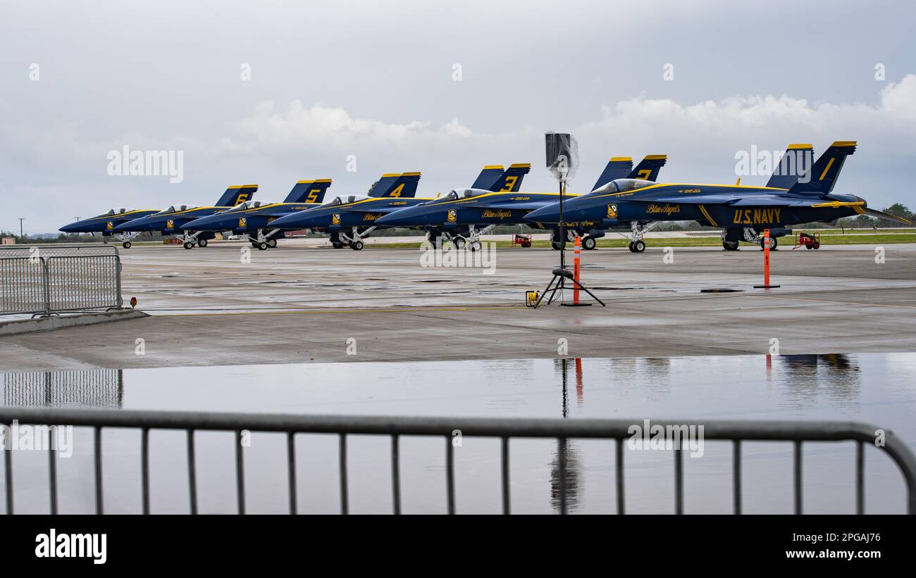 Blue Angels allineati su un asfalto piovoso Foto Stock