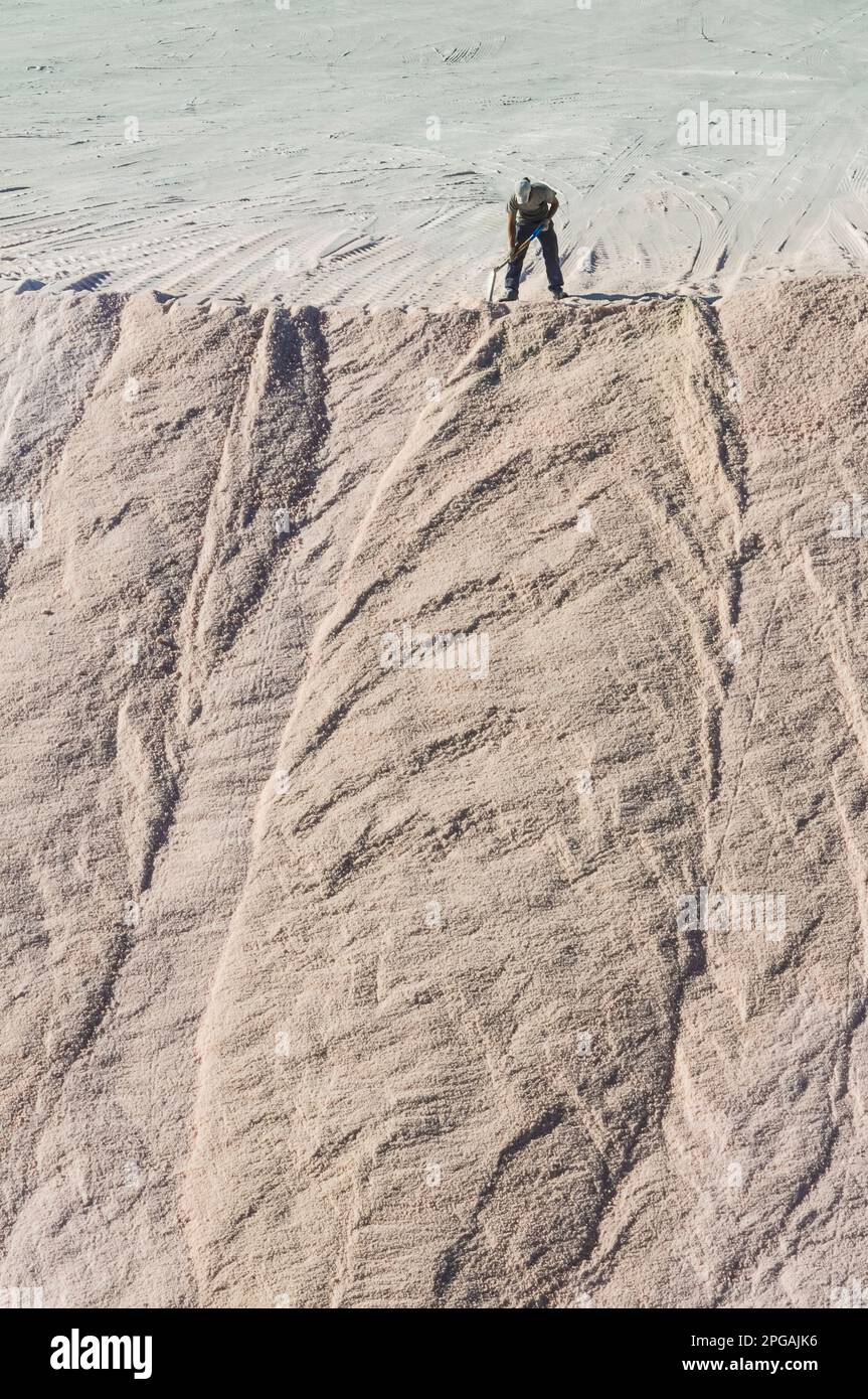 Vendemmia industria del sale a Pampas Saline, Provincia di la Pampa, Patagonia, Argentina. Foto Stock