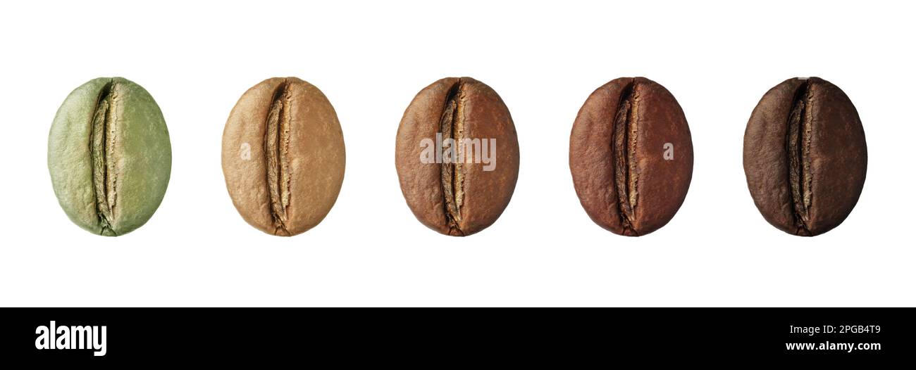 Fasi di tostatura dei chicchi di caffè su sfondo bianco, collage. Design del banner Foto Stock