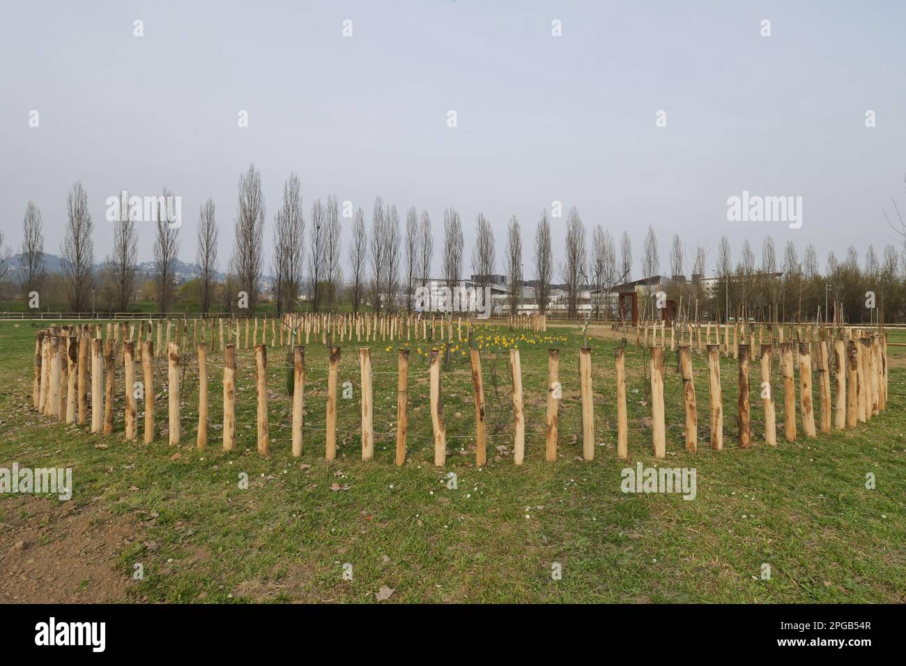 Foresta della memoria nel primo giorno di primavera Foto Stock