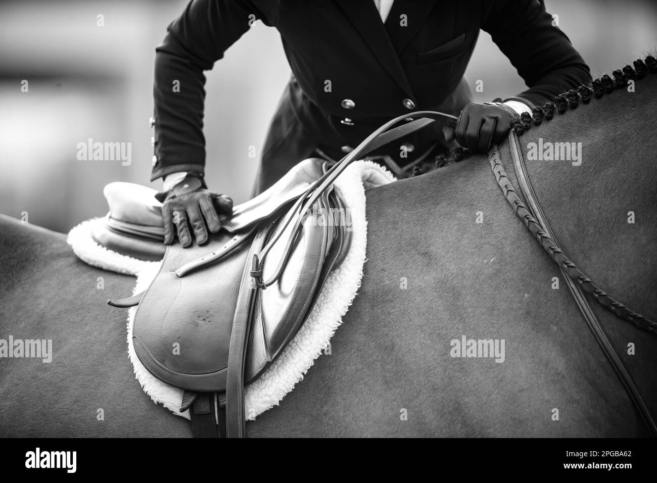 Foxhunt in Colorado - Equestrian Adventures Foxhunt in Colorado - Equestrian Adventures