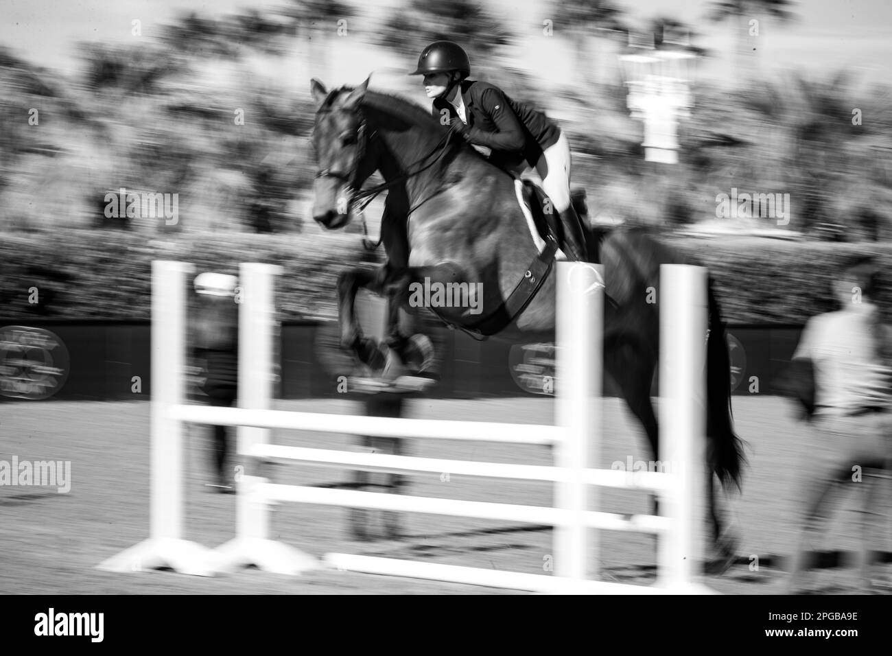 Un pilota equestre gareggia nella Hunter Division durante il Winter Circuit 2023 al Desert International Horse Park in California, USA. Foto Stock