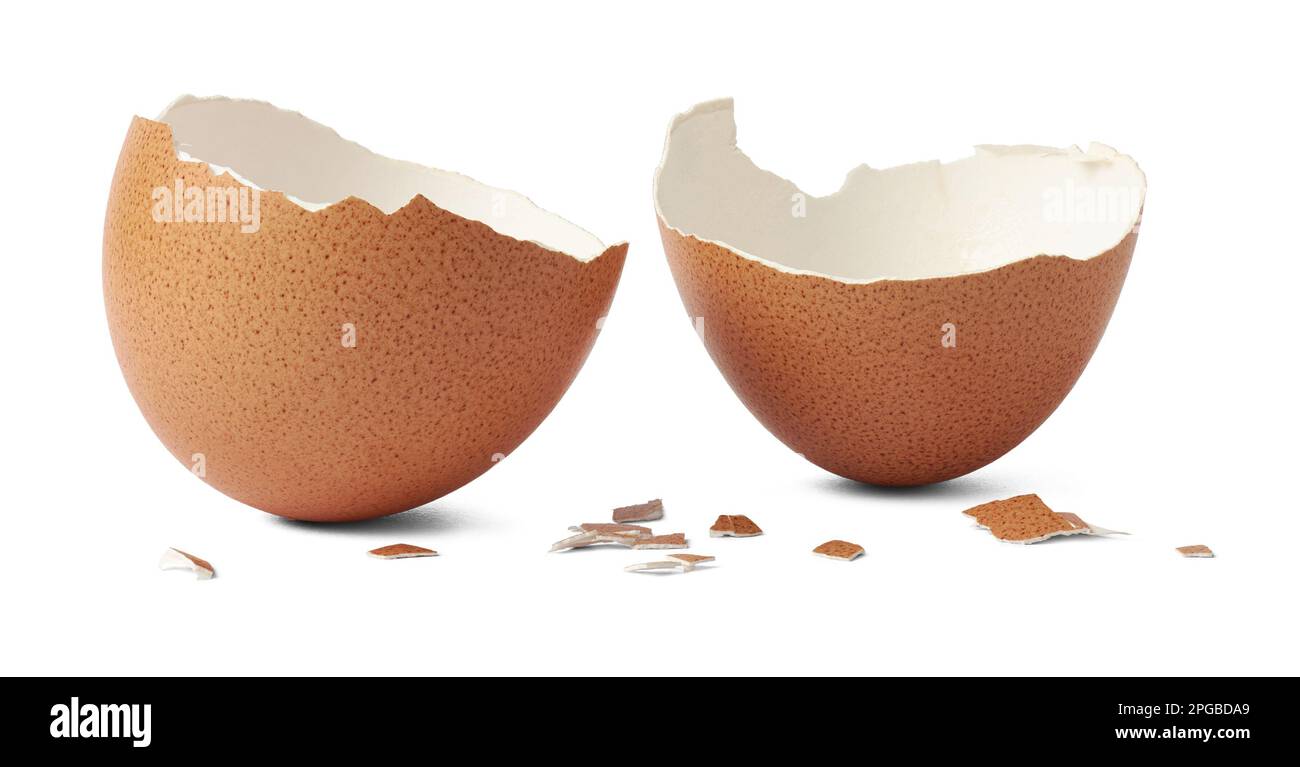 guscio d'uovo marrone rotto o spaccato con pezzi sparsi sulla superficie, isolato su sfondo bianco, ritagliato Foto Stock