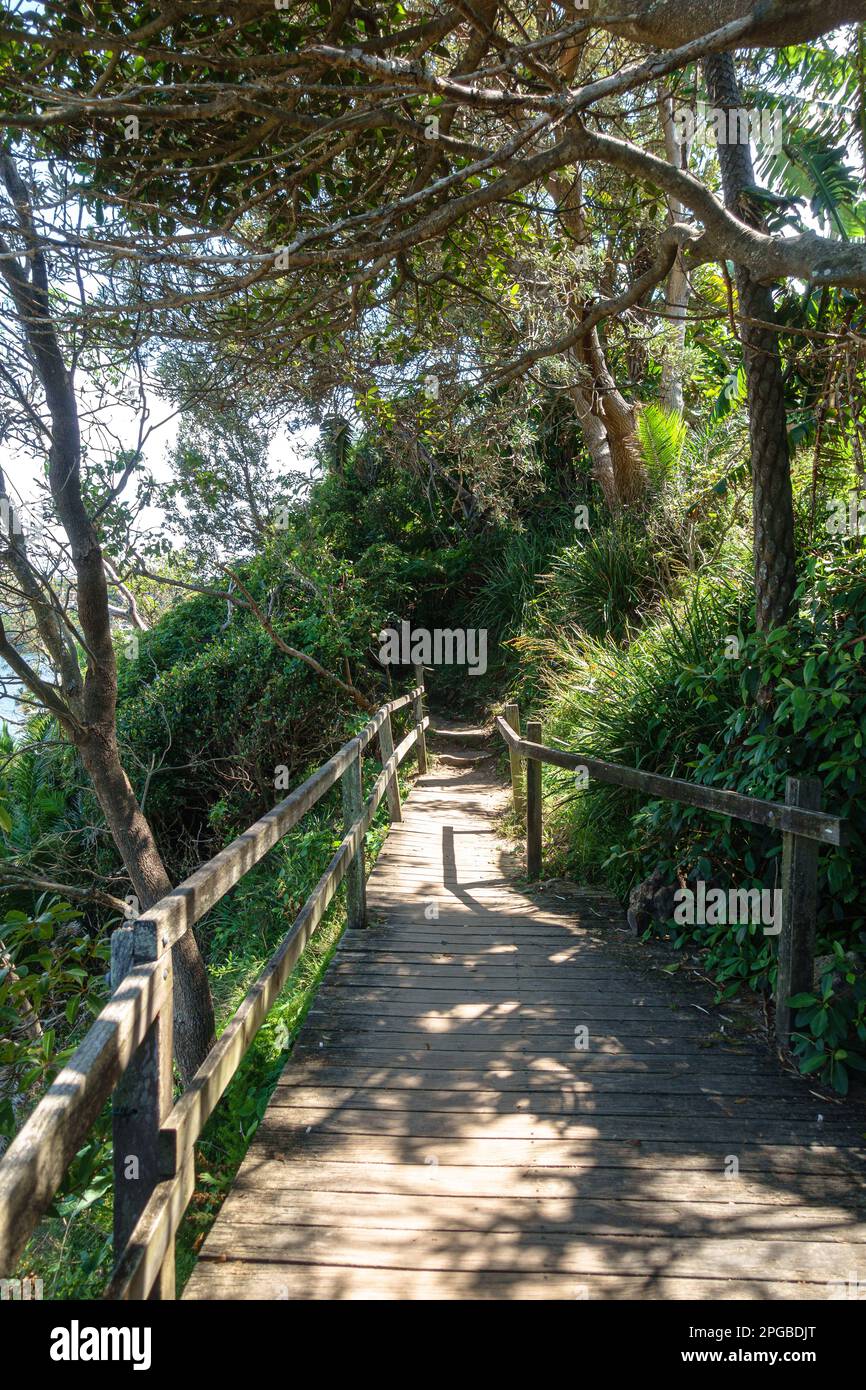 Una sezione della passeggiata da Manly a Spit vicino a Clontarf Point a Sydney, Australia Foto Stock