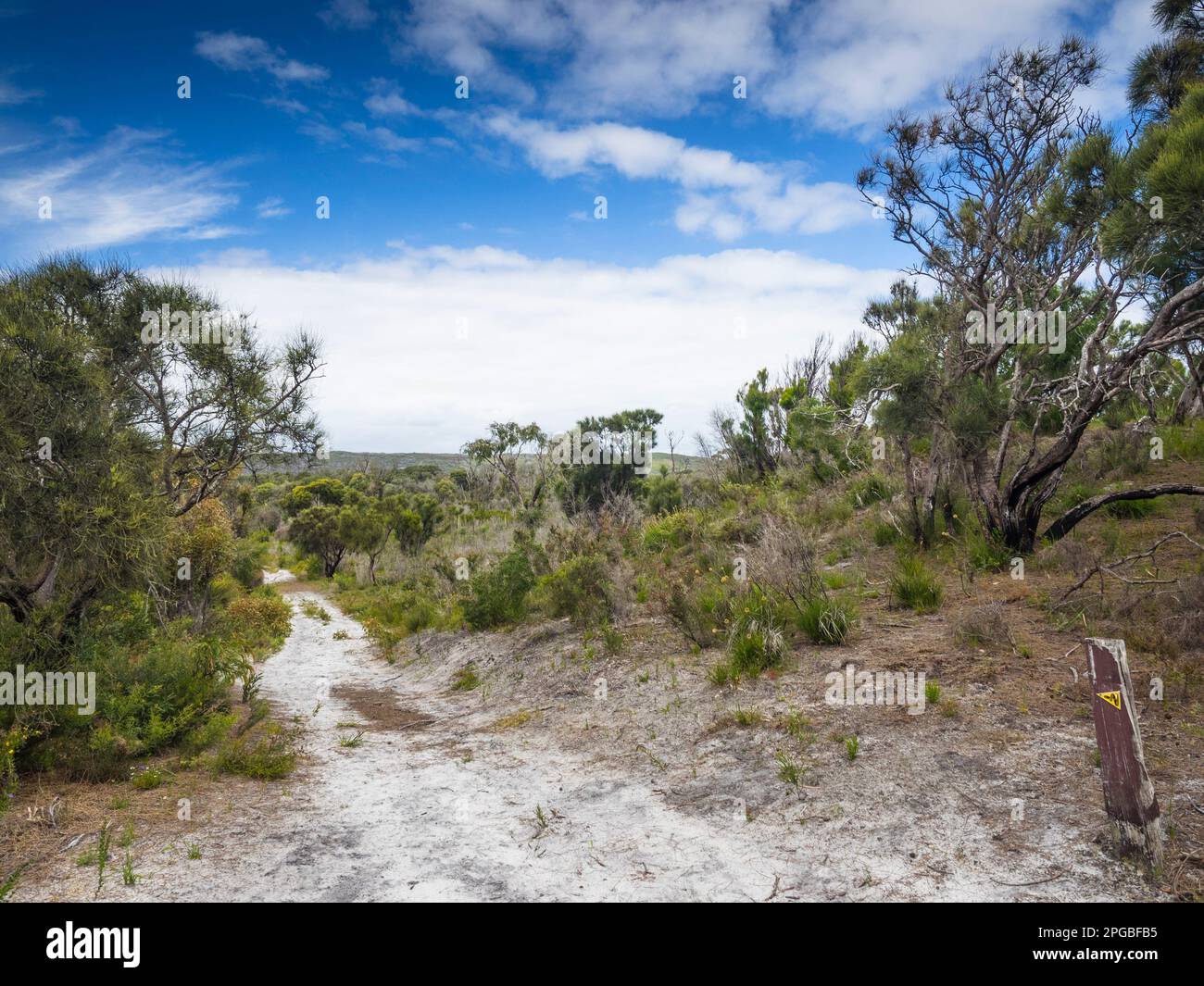 Segnavia sulla lunga distanza Bibbulmun Track che si dirige verso Nuyts Wilderness, Walpole-Nornalup National Park, Australia Occidentale, Australia Foto Stock