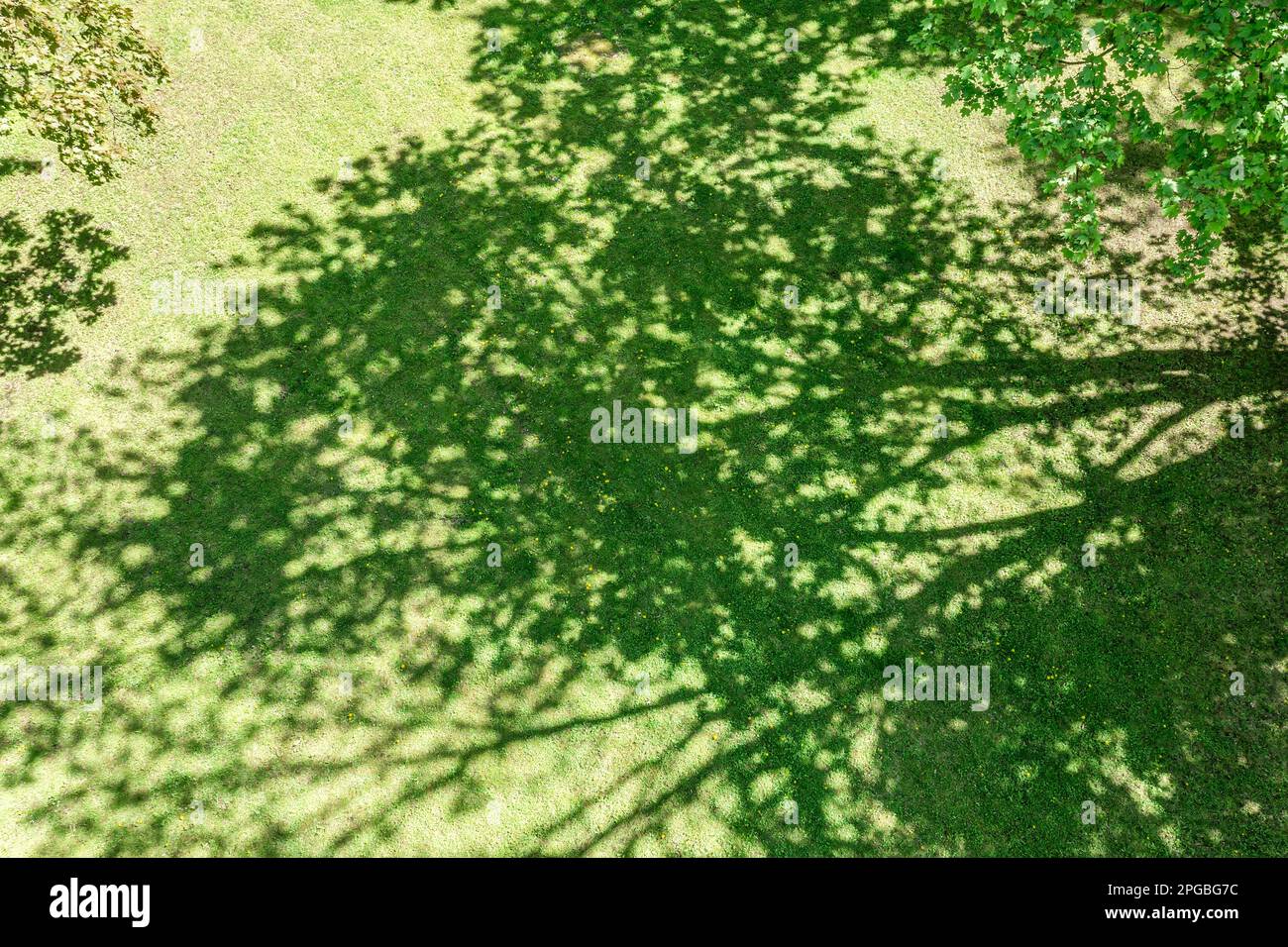 giornata di primavera nel parco pubblico della città. ombra di alberi su prato verde. fotografia aerea. Foto Stock