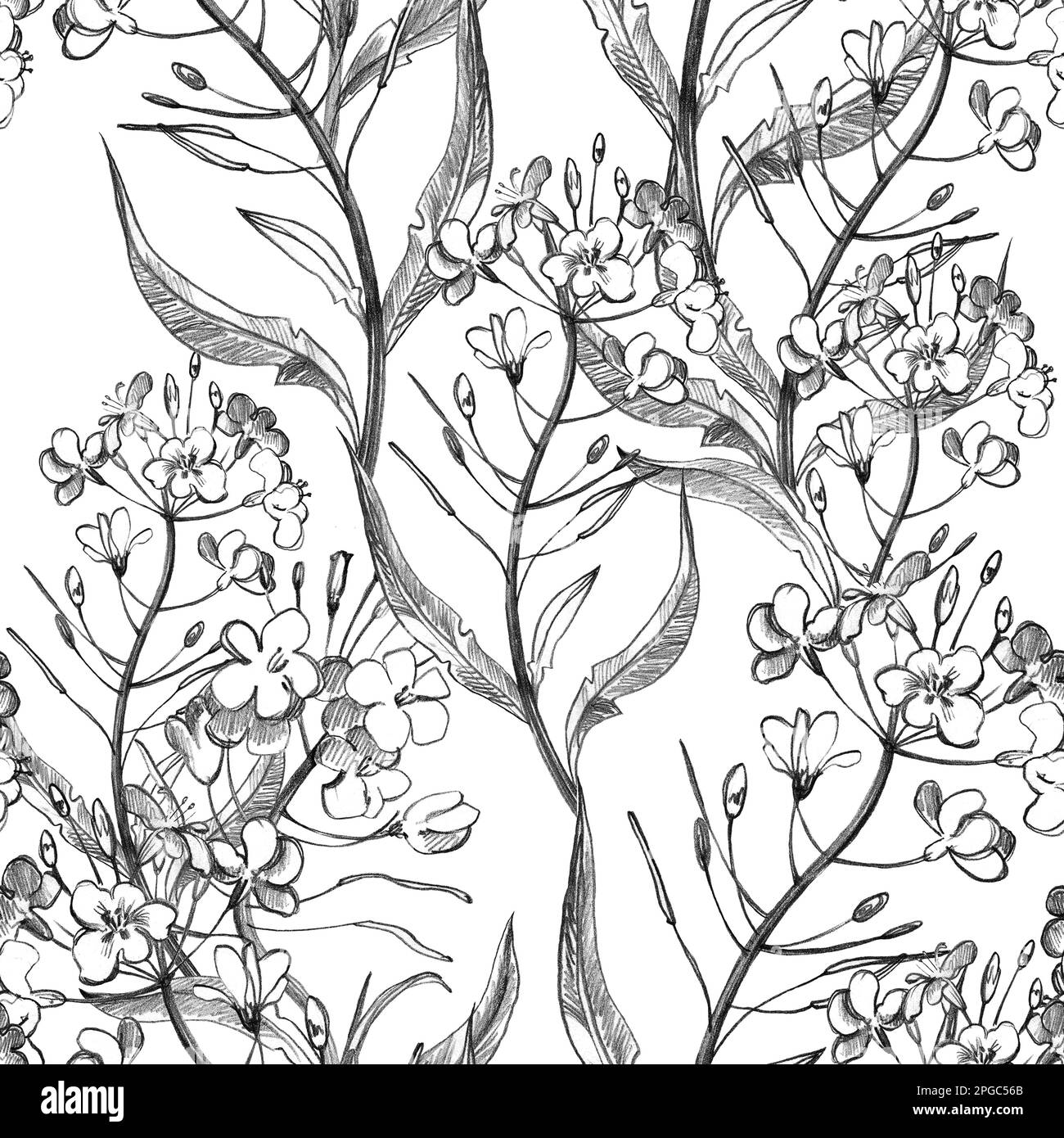 Disegno a mano motivo floreale senza cuciture in stile vintage. Fiori, foglie ed erbe. Illustrazioni botaniche. Foto Stock