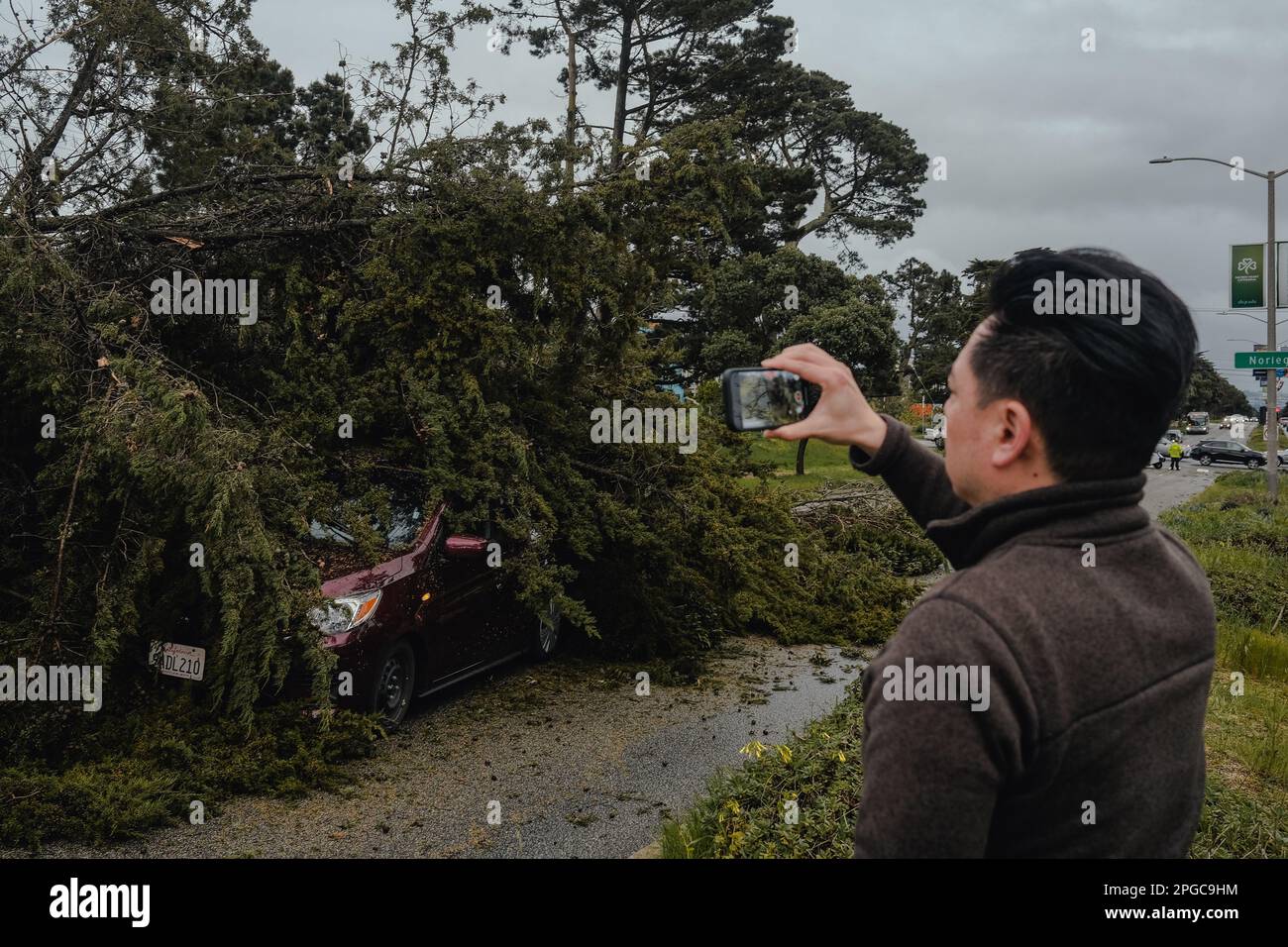 Un grande albero crash-sbarcò su una macchina sulla strada. Il tetto della vettura è schiacciato e i detriti sono sparsi su tutto, evidenziando la gravità dell'impatto. Una forte tempesta ha recentemente colpito la Bay Area, causando caos e distruzione a San Francisco. Le condizioni climatiche estreme hanno portato al crollo di numerosi alberi, che alla fine hanno colpito le automobili e creato situazioni pericolose per le strade. Mentre la tempesta infuriava, la gente della città stava avendo un momento difficile sotto la pioggia incessante. I forti venti e il forte defluente hanno reso quasi impossibile uscire senza un adeguato ingranaggio di pioggia. Quelli che erano c Foto Stock